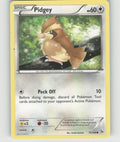 Pidgey Common XY - Flashfire 75/106 NM
