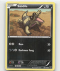 Sandile Common XY Base Set 69/146 LP