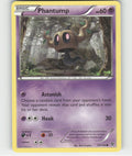 Phantump Common XY Base Set 54/146 LP