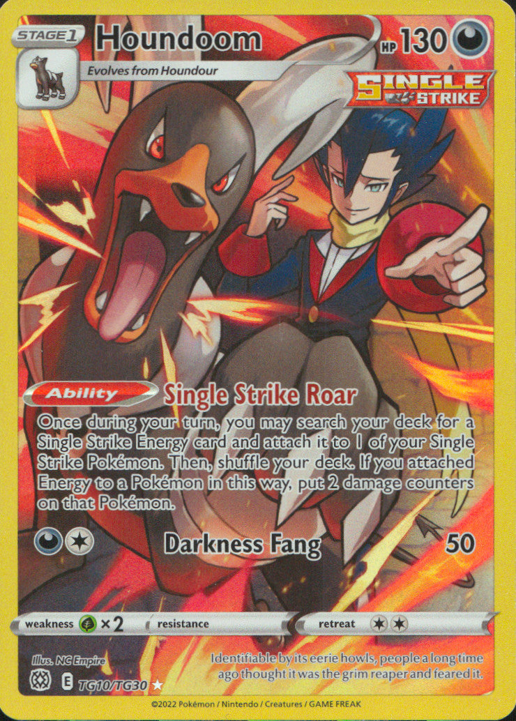 Houndoom Holo Ultra Rare SWSH09: Brilliant Stars Trainer Gallery TG10/TG30 NM
