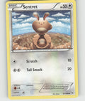 Sentret Common XY - Flashfire 81/106 NM