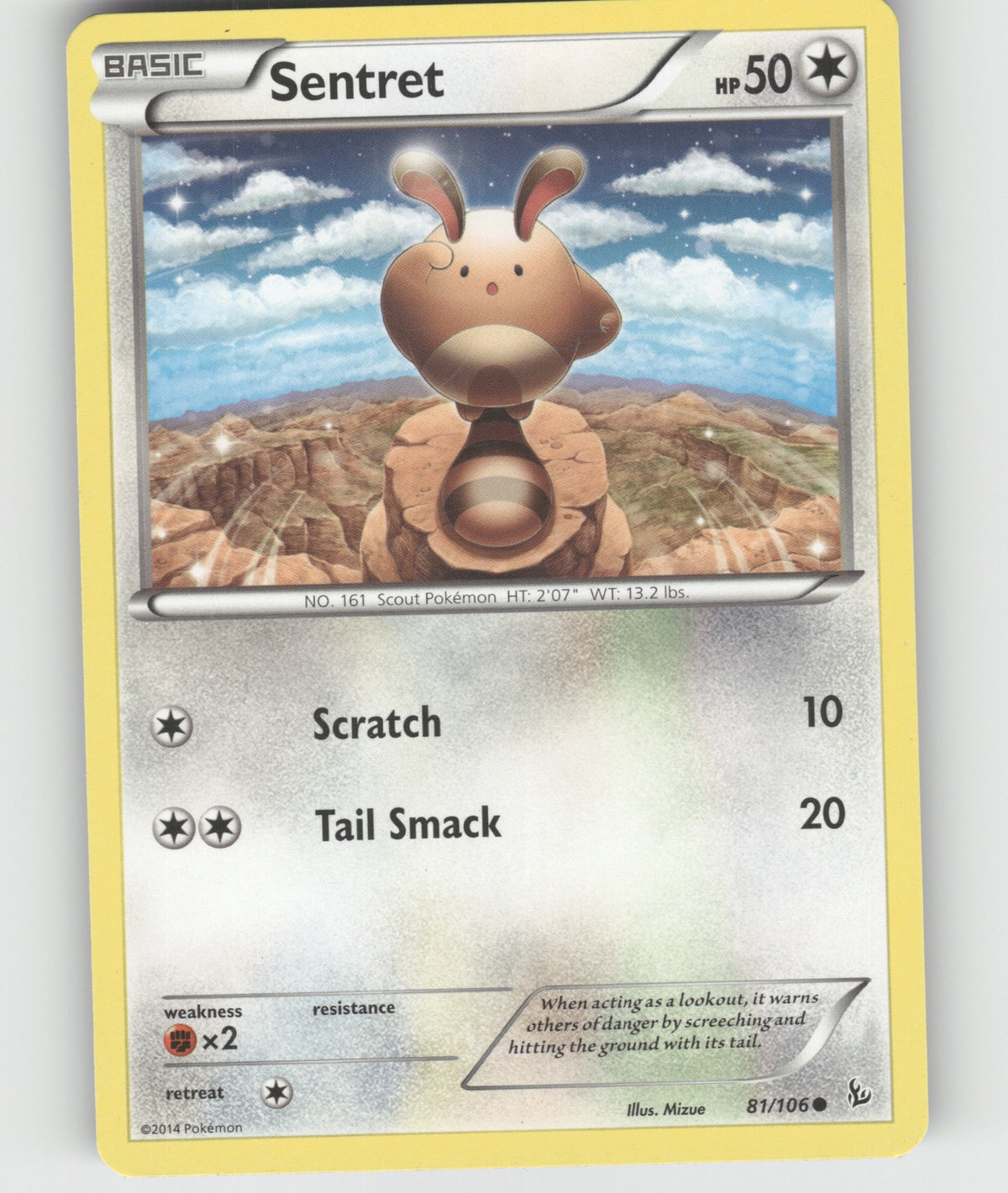 Sentret Common XY - Flashfire 81/106 NM