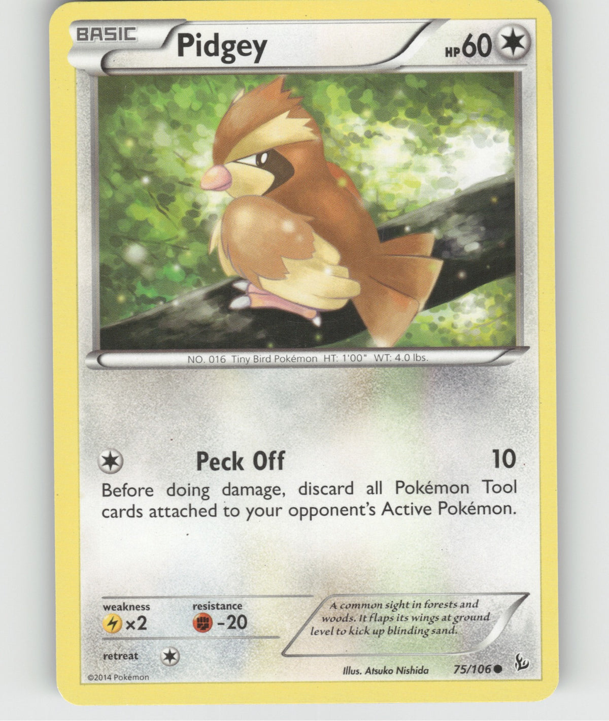 Pidgey Common XY - Flashfire 75/106 NM