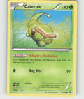 Caterpie Common XY - Flashfire 1/106 NM