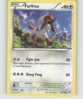 Furfrou Uncommon XY - Flashfire 87/106 NM