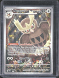 Noctowl Holo Promo SV: Scarlet & Violet Promo Cards 141 NM