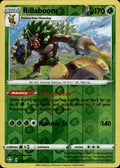 Rillaboom Reverse Holo Holo Rare Shining Fates 013/072 NM