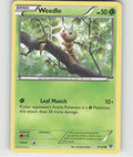 Weedle Common XY Base Set 3/146 LP