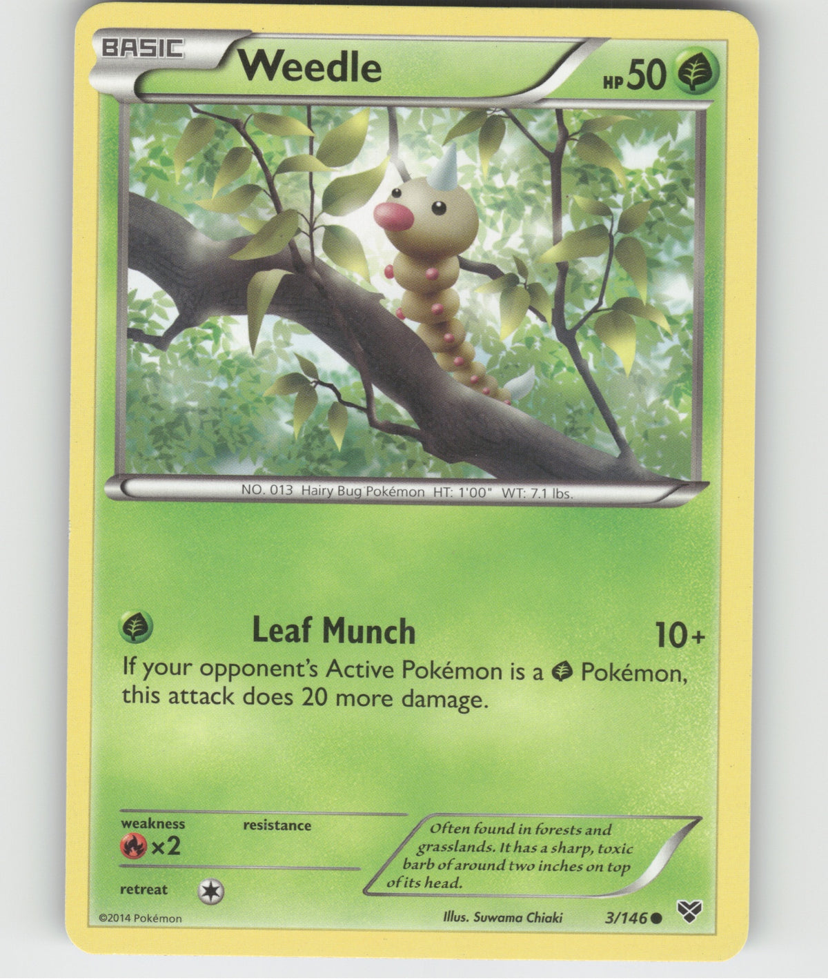 Weedle Common XY Base Set 3/146 LP