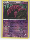 Scolipede Reverse Holo Rare XY Base Set 53/146 NM