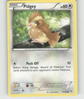 Pidgey Common XY - Flashfire 75/106 NM
