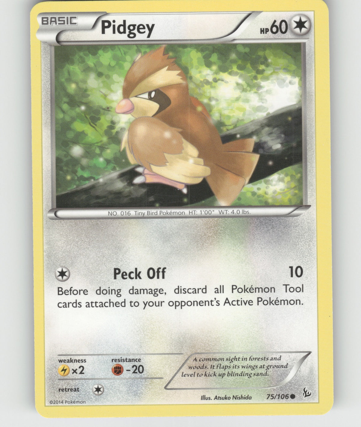 Pidgey Common XY - Flashfire 75/106 NM