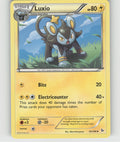 Luxio Uncommon XY - Flashfire 33/106 NM