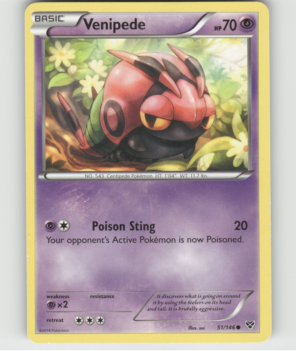 Venipede Common XY Base Set 51/146 LP