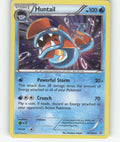 Huntail Holo Rare XY - Primal Clash 50/160 NM