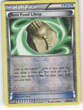 Root Fossil Lileep Reverse Holo Uncommon Plasma Blast 87/101 NM