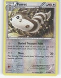 Furret Reverse Holo Rare XY - Flashfire 82/106 NM