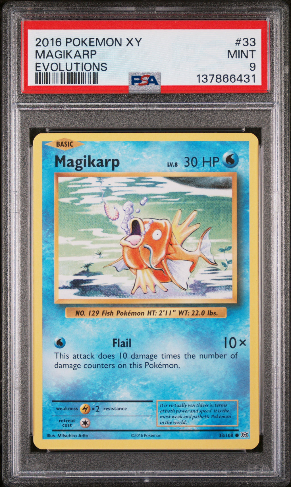 Magikarp Evolutions Pokemon Xy Evolutions 33 NM PSA 9