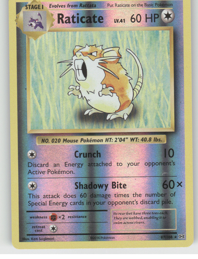 Raticate Reverse Holo Rare XY - Evolutions 67/108 NM