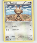 Sentret Common XY - Flashfire 81/106 NM