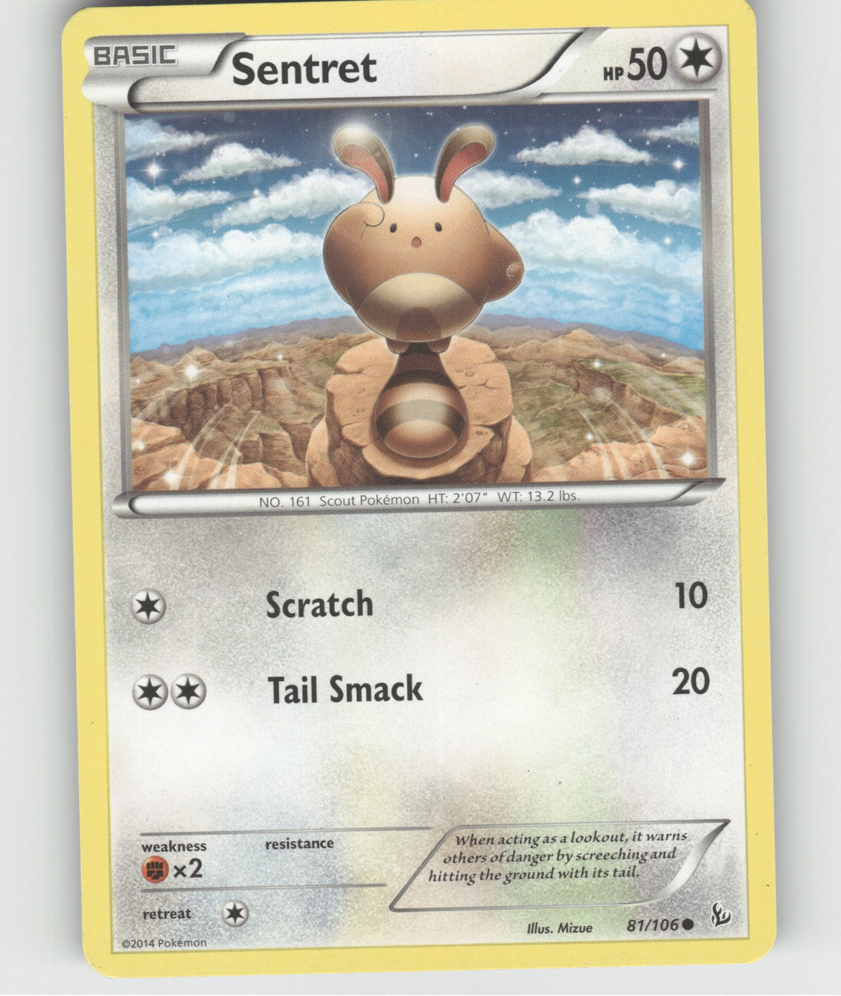 Sentret Common XY - Flashfire 81/106 NM