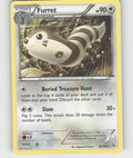 Furret Rare XY - Flashfire 82/106 NM