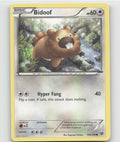 Bidoof Common XY Base Set 106/146 LP