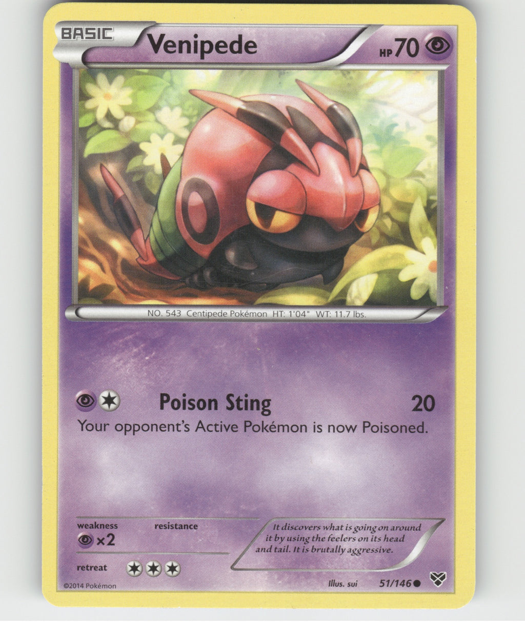Venipede Common XY Base Set 51/146 LP
