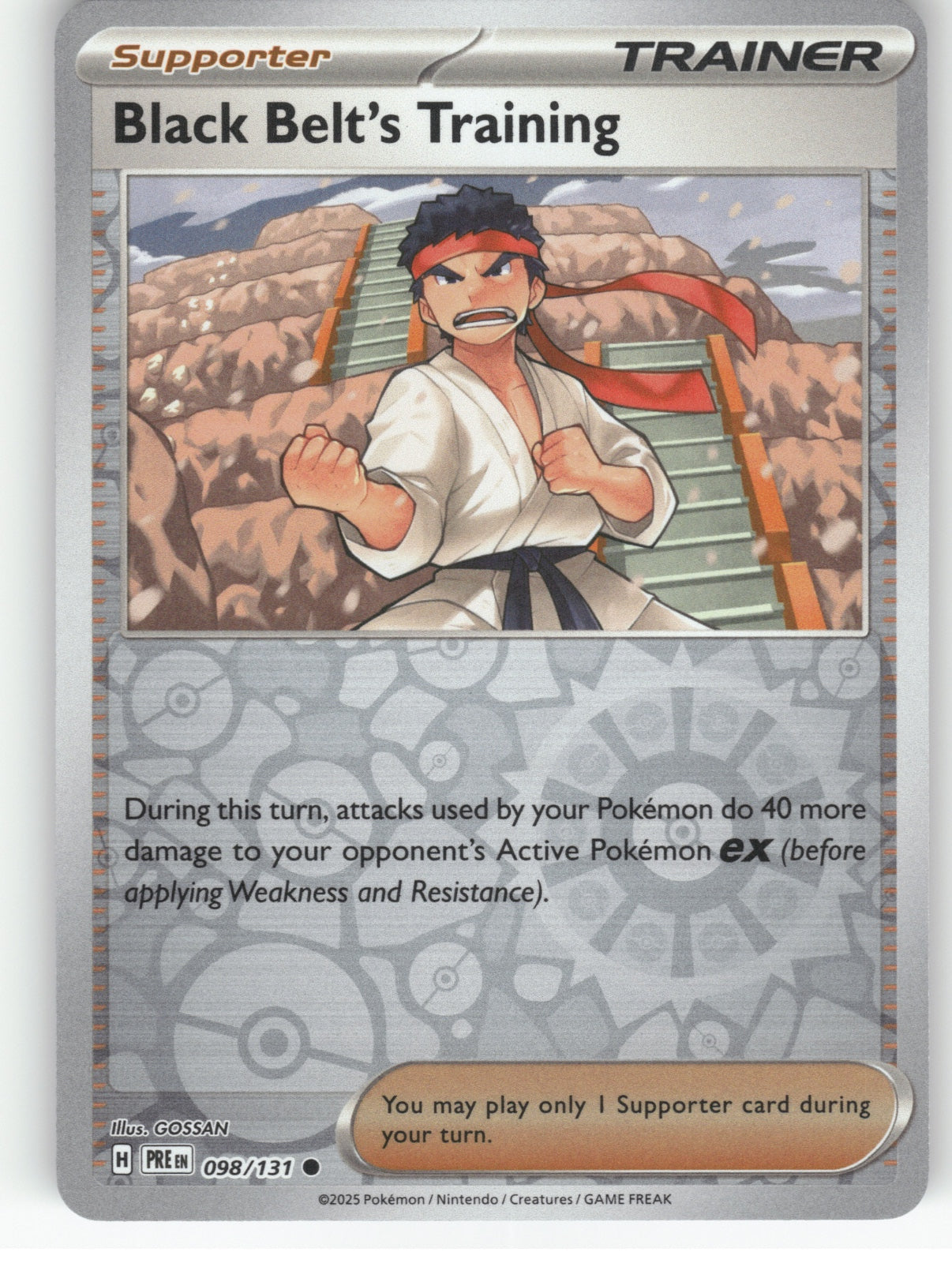 Black Belt's Training Holo Ultra Rare ME: Ascended Heroes 255/217 NM
