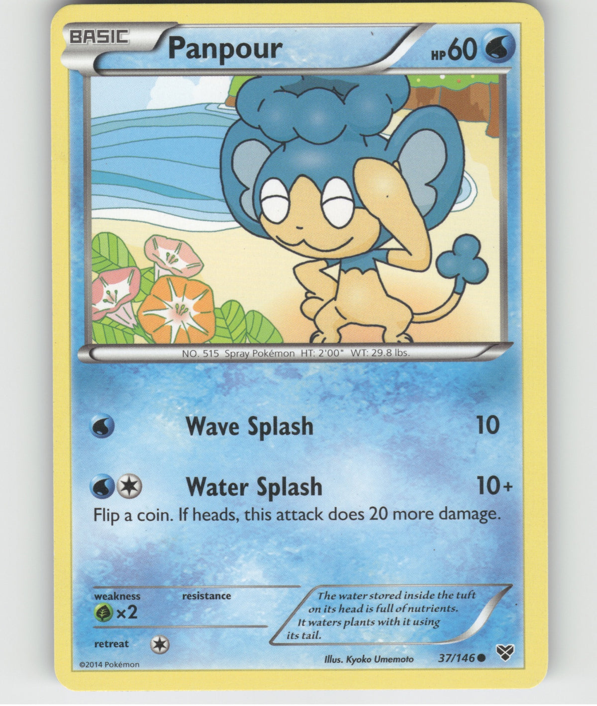 Panpour Common XY Base Set 37/146 LP