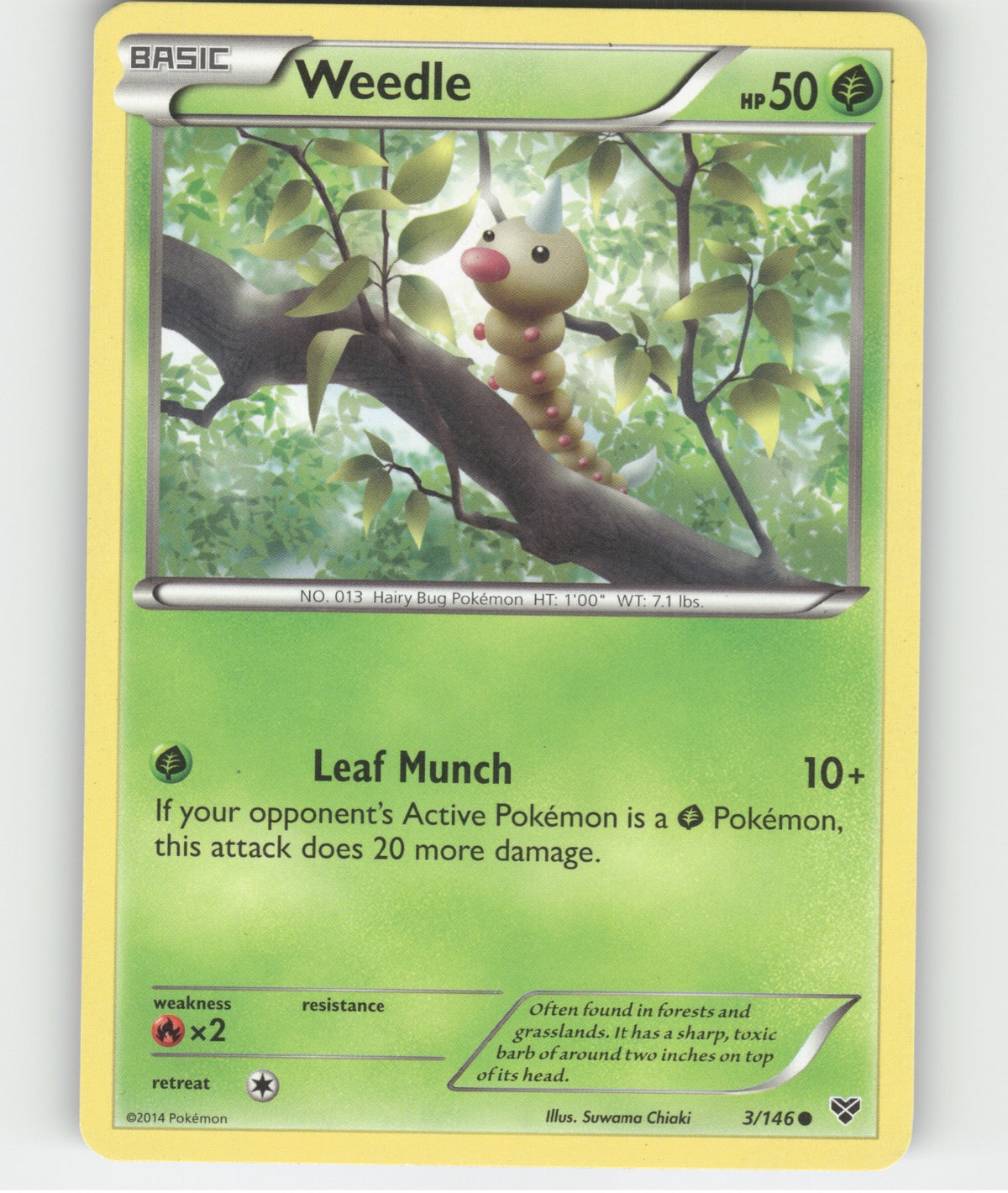 Weedle Common XY Base Set 3/146 LP