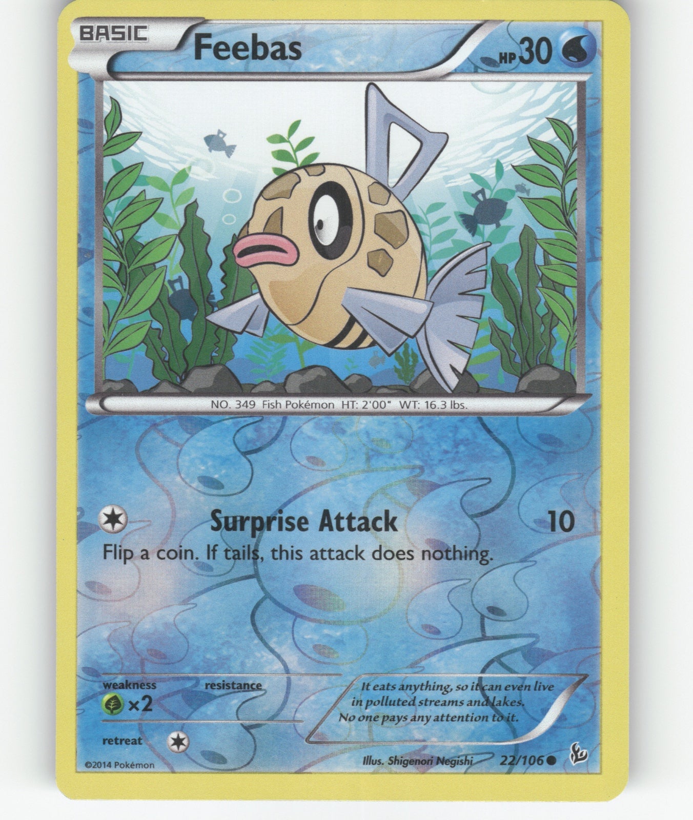 Feebas Reverse Holo Common XY - Flashfire 22/106 LP