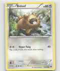 Bidoof Common XY Base Set 106/146 LP