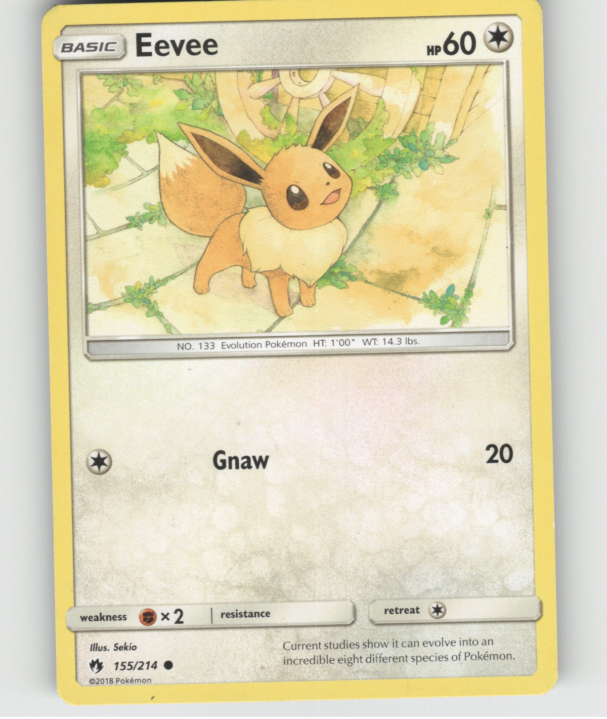 Eevee Common SM - Lost Thunder 155/214 NM
