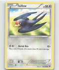 Taillow Common XY Base Set 102/146 LP