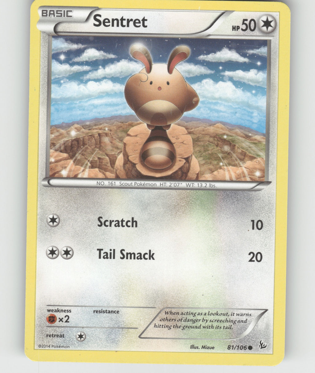 Sentret Common XY - Flashfire 81/106 NM