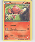 Pansear Common XY Base Set 22/146 LP
