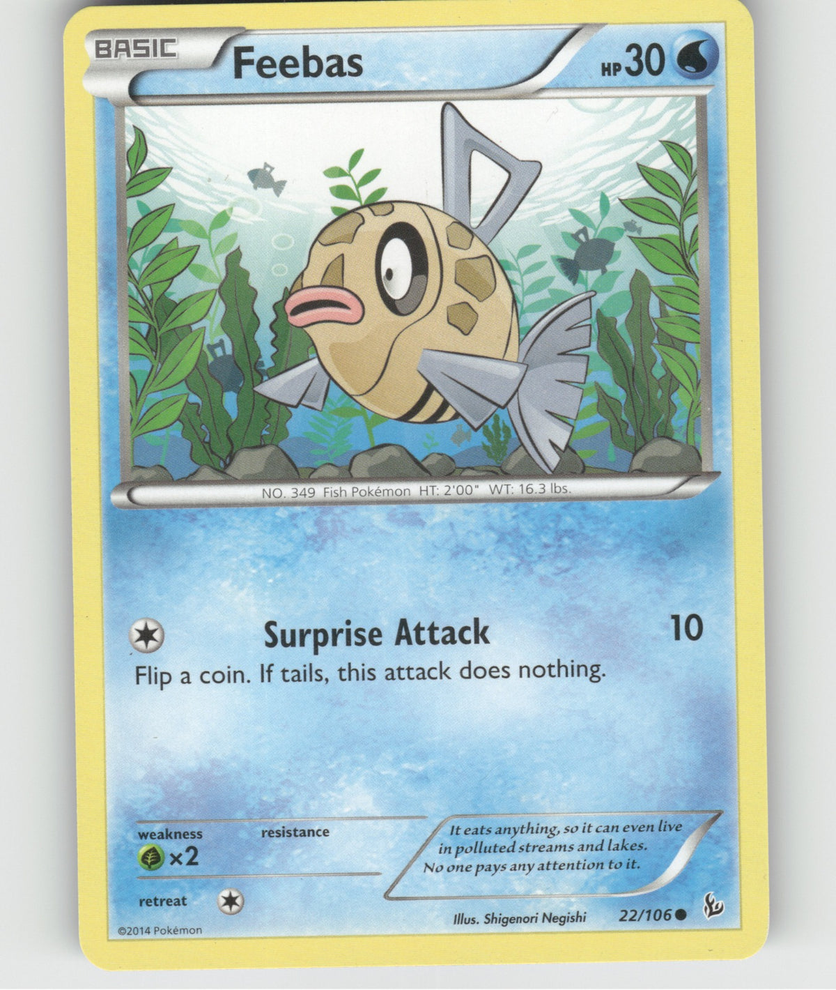 Feebas Common XY - Flashfire 22/106 NM