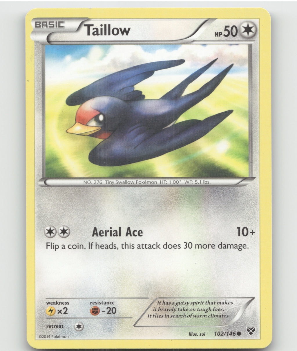 Taillow Common XY Base Set 102/146 LP