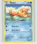 Buizel Common XY - Flashfire 28/106 NM