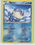 Spheal Reverse Holo Common XY - Flashfire 24/106 NM