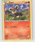 Litleo (19) Common XY - Flashfire 19/106 NM