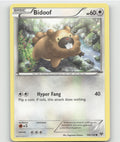 Bidoof Common XY Base Set 106/146 LP